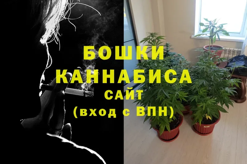 Бошки Шишки Bruce Banner  shop клад  Галич 